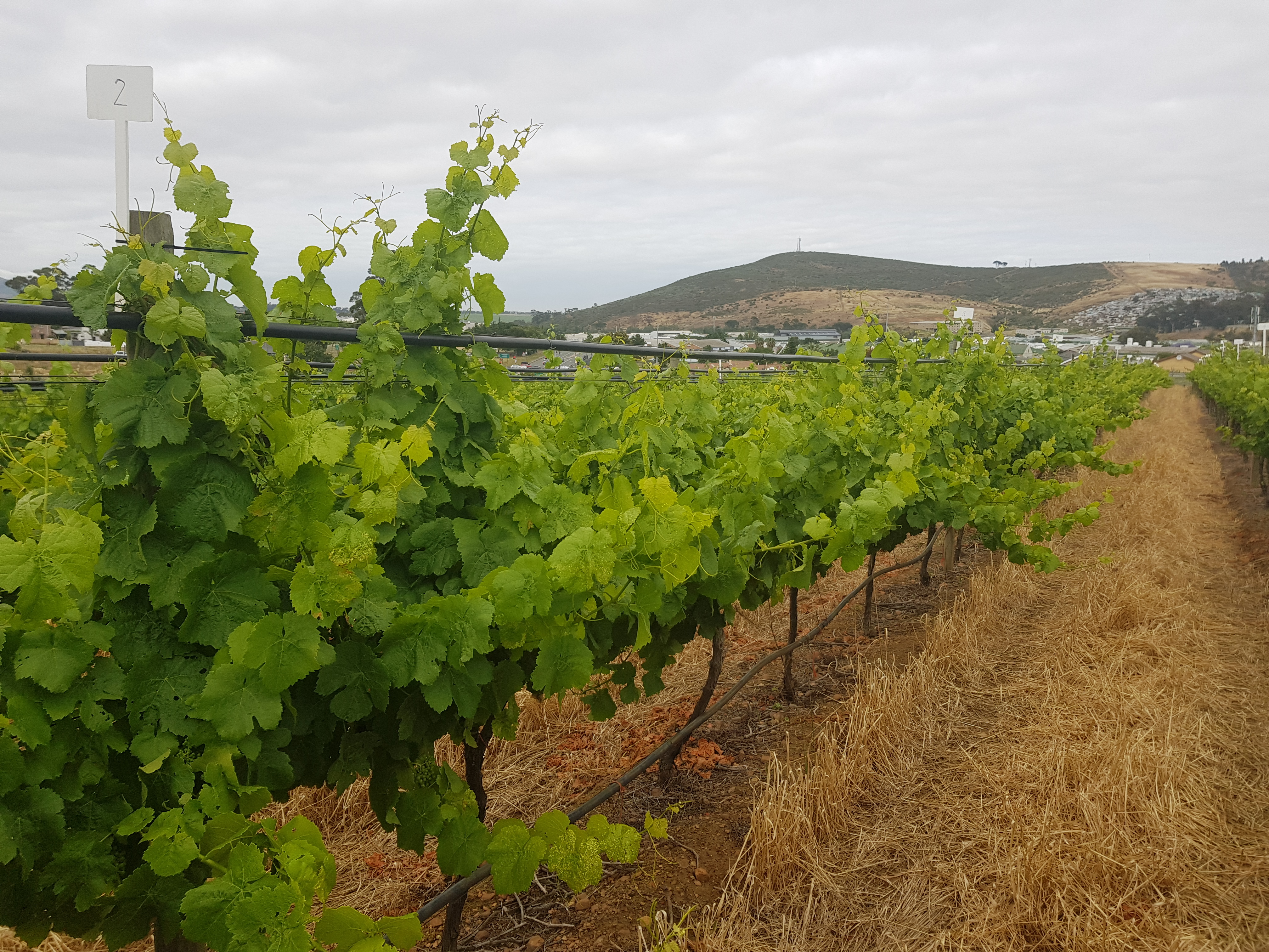 20171123_084701 20171123_084701